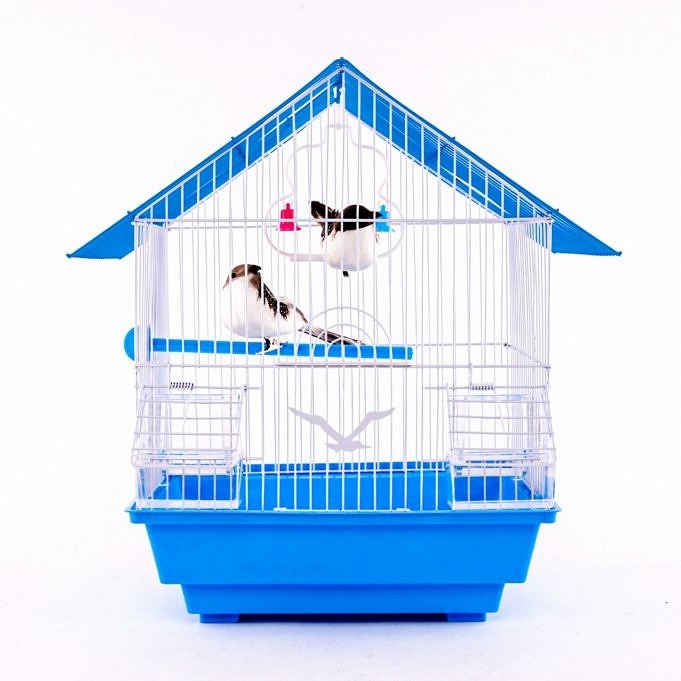 HCY Bird Cage 64 inch Review